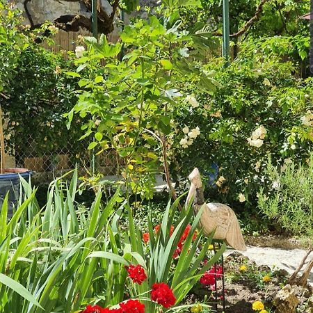 La Casa Nomade Bed & Breakfast Issigeac Eksteriør bilde
